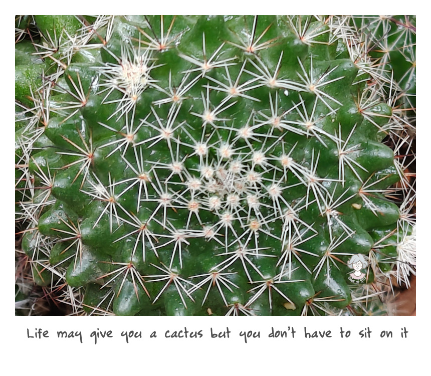 The Prickly Cactus