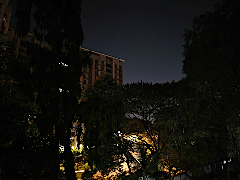 Sounds of the Night